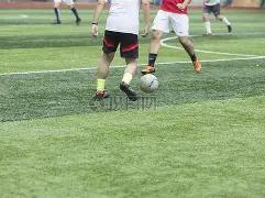 秦岭画卷,描绘鹭舞翩,博鱼体育,博鱼体育链接,博鱼体育地址,博鱼体育官方平台,博鱼体育入口站点